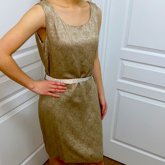 🔥🔥PORTS 1961| Taupe & Metallic Silver Dress -Sz 6 - Picture 3 of 15